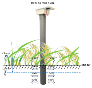 Trạm đo mực nước mặt...
